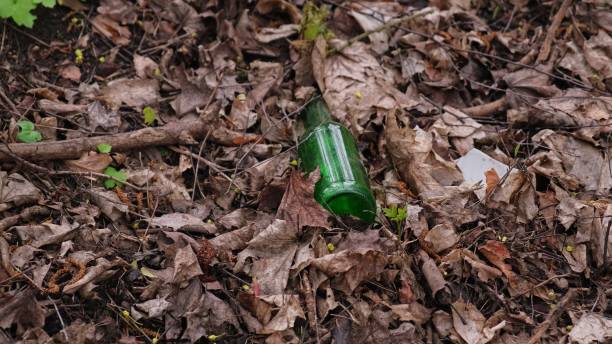 istock Glass Bottle Garbage Dropped on Ground Polluting Forest Litter 2150881702