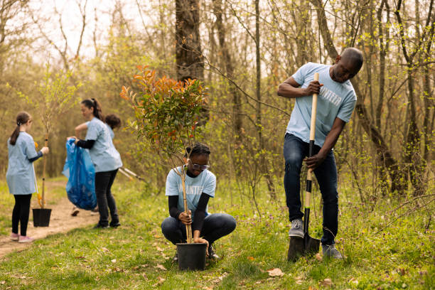 istock African american ecologic activists planting small trees in a forest 2150883310
