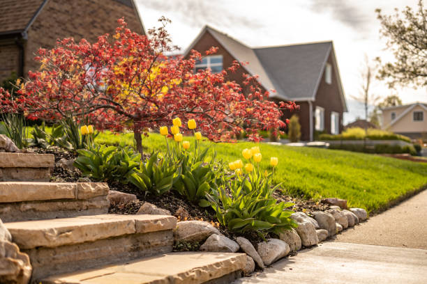 istock Pretty Tulips and Walkway Front Yard Home Sidewalk 2150883696