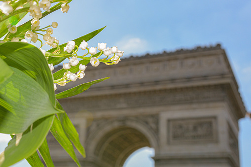 A Lily Of The Valley is the symbol of tradition in France to be offered for the international labour day on May 1st  and also as a gift to loved ones for the good luck. On the beautiful blue sky in Paris, France, the bouquet is bright white and green.