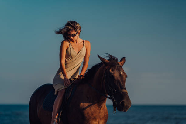 istock Stylish female riding her horse on a beach during sunset 2150890307