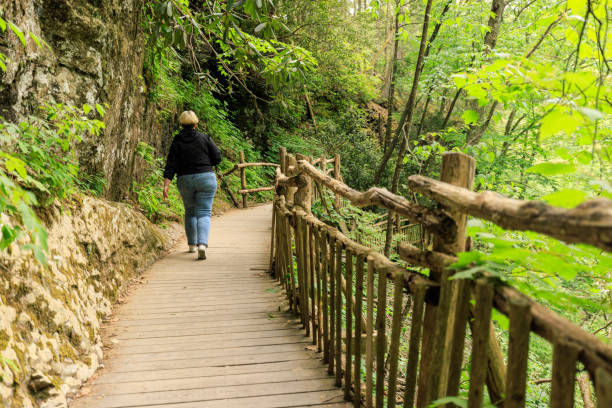 istock Touristic trail in Poconos Mountain, PA. Way to Bushkill Falls in Pennsylvania 2150891724