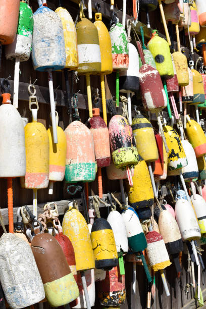 istock colorful multi colored lobster buoys 2150893154