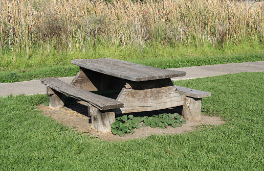 Wooden picnic table amongst lush green grass in a park
