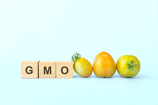 GMO or genetically modified organisms food and crop concept. Typography in blue background.