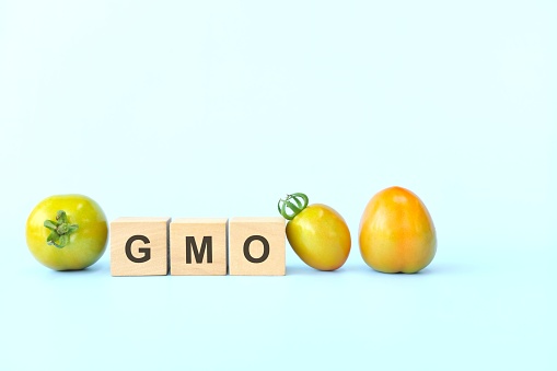 GMO or genetically modified organisms food and crop concept. Typography in blue background.
