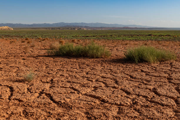 istock Cracked clay in the desert 2150905884