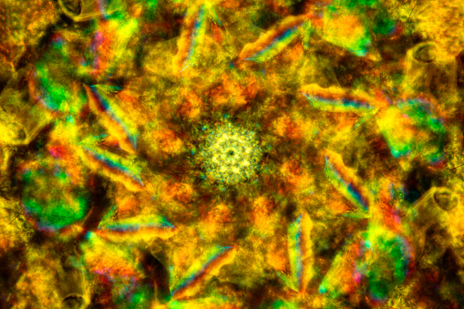 Abstract micrograph multiple exposure of colorful sand grains from San Luis Obispo, California, resembling a sand mandala, with polarization at about 100x magnification.