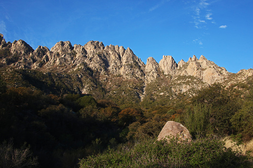 Morning light on the Needles as seen from Pine Tree Trail of  the Organ Mountains - Desert Peaks National Monument.