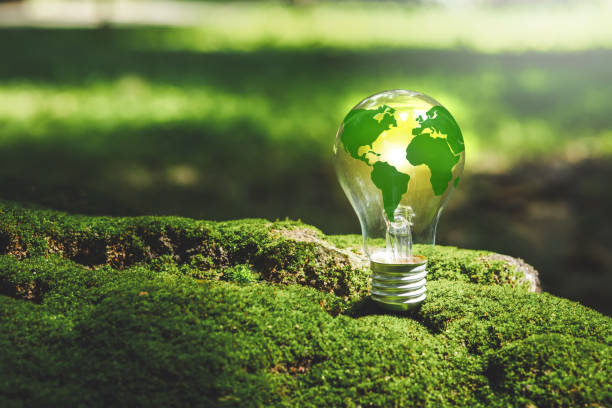 istock Renewable Energy.Environmental protection achieve business goals environment with light bulb that represents green energy Renewable and clean energy. 2150911275