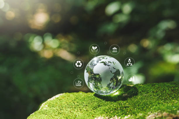 istock Crystal earth ESG concept ,Sustainable development goal (SDGs) Ideas Globe Glass on green Moss in forest business based Global communication network. 2150911282