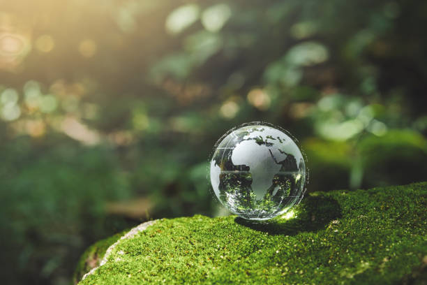istock Crystal earth in forest Environment, save world, earth day and conservation Concept.conservation 2150911294