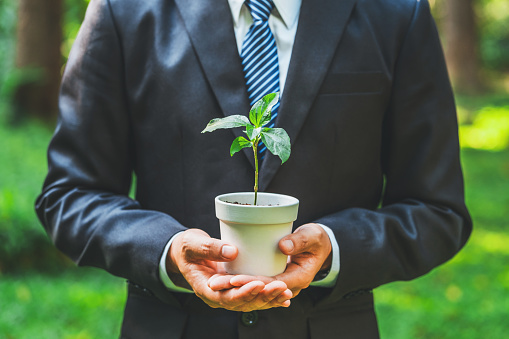 Environmental Collaboration in green business people conserve the green business growing with plants in the hands sustainable development goals. Future environmental ESG modernization development