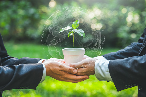 Environmental Collaboration in green business people conserve the green business growing with plants in the hands sustainable development goals. Future environmental ESG modernization development