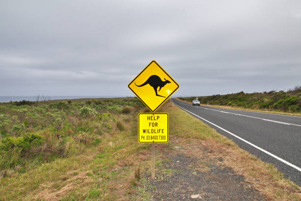 istock Great ocean road, Indian ocean, Australia 2150911732