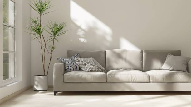 istock Beige sofa, dracaena tree in white wall living room in sunlight from window, shadow on wood laminate parquet floor 2150912461