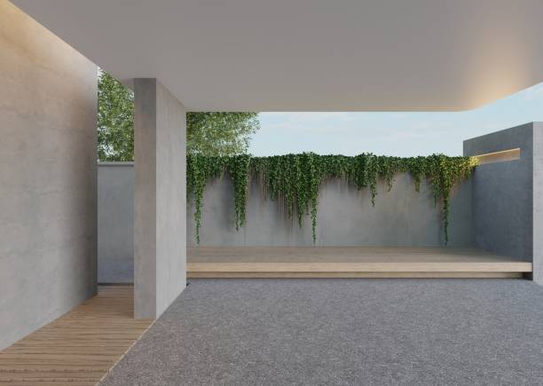 istock A large, empty room with a grey wall and a green plant growing on it. The room is bare and empty, with no furniture or decorations.3d render 2150912491