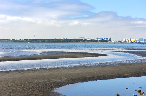 Tidal flats in Tokyo Bay with copy space.
