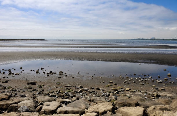 Tidal flats in Tokyo Bay with copy space.