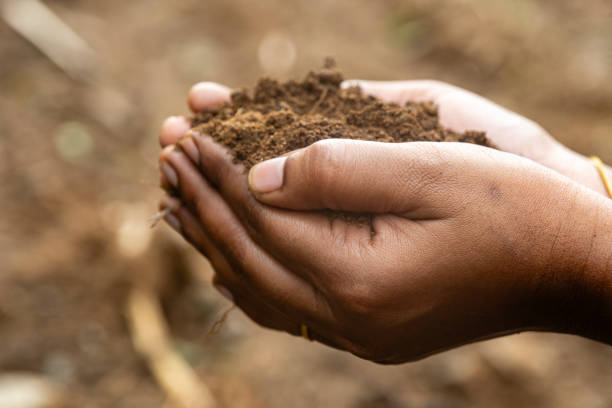 istock woman holds farm mud in her two hands 2150919041