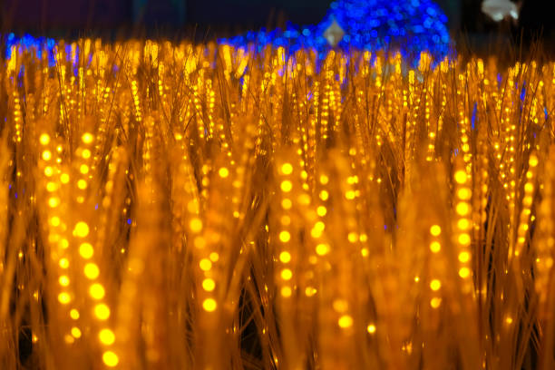 A soft-focus image of glowing golden bokeh lights with a deep blue evening sky in the background. The blurred lights create a warm and dreamy atmosphere.