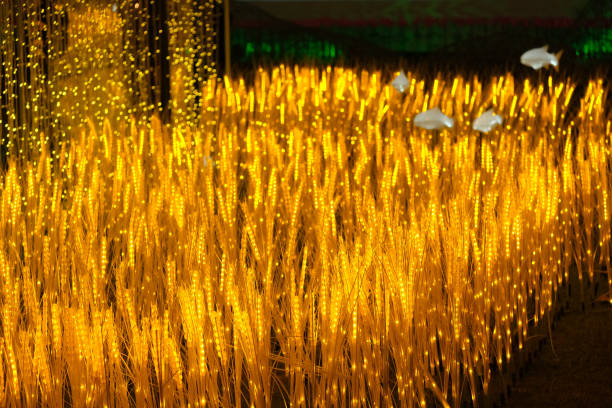 istock The courtyard in the garden is beautifully lit. 2150921724