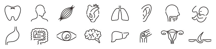 Human Body Line Editable stroke Icons set. Human internal organ. Medical Specialties. Icon collection vector.