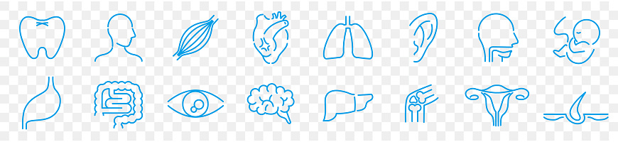 Human Body Line Editable stroke Icons set. Human internal organ. Medical Specialties. Icon collection vector.