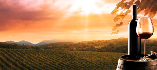 istock Wine bottle and wineglass in the vineyard 2150925952