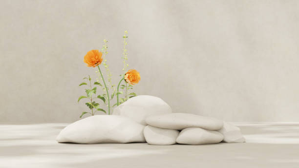 istock 3D rendering illustration of empty space rock podium display and flower for product mockup 2150928830