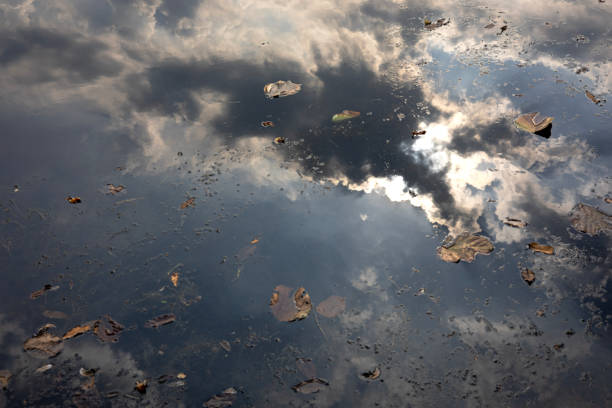 istock Reflection Of Blue Sky With Coudy On The Pond 2150929029