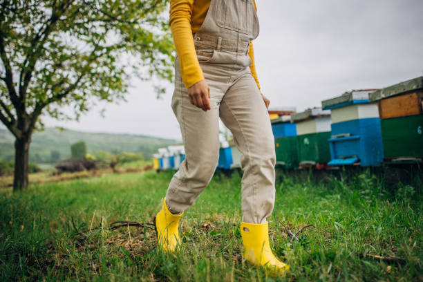 The focus is on bright yellow rubber boots against a backdrop of green grass, implying outdoor work in a rural or garden setting