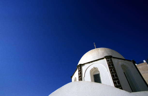 A blue domed church in Oîa Santorini with flowers in the foreground