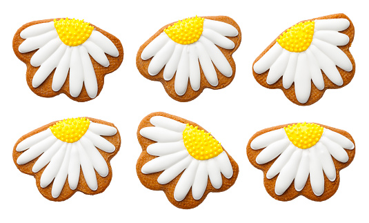 Six beautifully decorated gingerbread cookies resembling daisies, with white icing and yellow centers, displayed isolated on a white background with clipping path