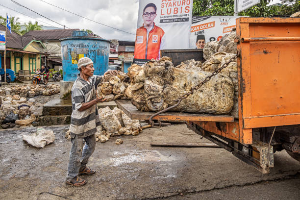Kecamatan Kotanopan, North Sumatra, Indonesia - February 3rd 2024:  Men loading bales of natural rubber on a truck
