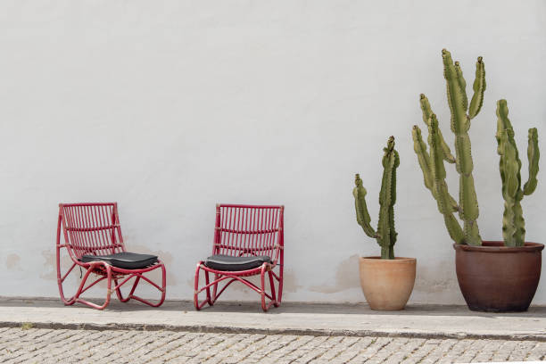 istock Two red wooden armchairs with cacti in front of a whitewashed wall 2150935137