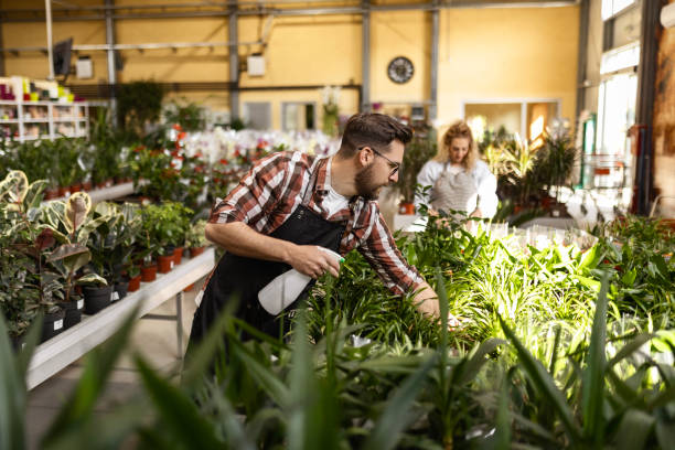 istock Florist Worker Nurturing Plants in Shop Garden 2150936793
