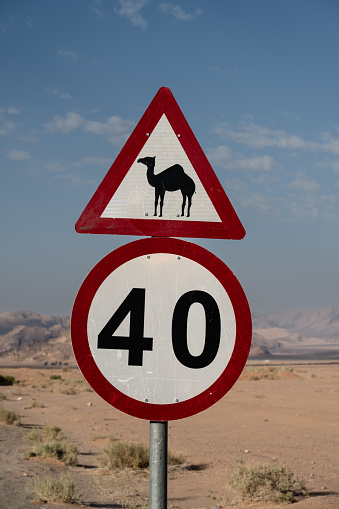 Attention Camel and 40 kmh Road Sign on the Wadi Rum Road in the Desert of Jordan