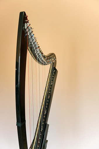 Electronic harp. The evolution of the musical instrument.