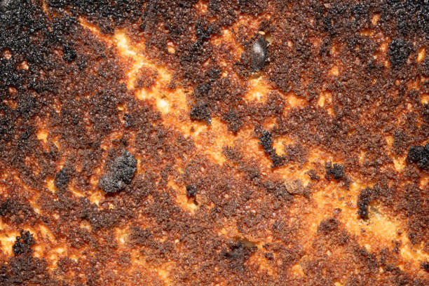 Very Burnt Bread Roll Toast Close Up Texture Close Up