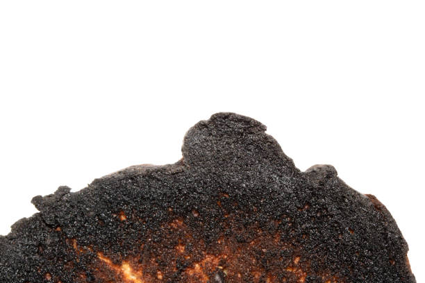 istock Very Burnt Bread Roll Toast Close Up Texture Close Up 2150946364