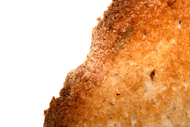 A Close Up of a Toasted Hme Made Bread Roll Showing Texture