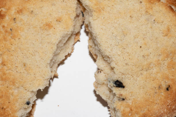 A Very Burnt Bread Roll Torn or Cut in Half Toast Close Up Texture