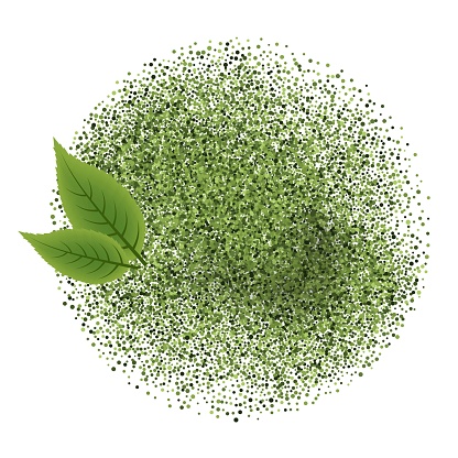 Matcha green tea powder splash with fresh leves, natural ingredients. Isolated vector on white background, top view