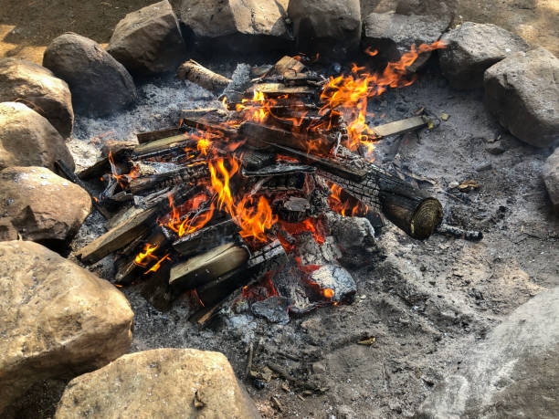 campfire, Burning firewood in campfire surrounded with stones in a camping area in forest. camping concept background or surface. heating idea. flames and ashes