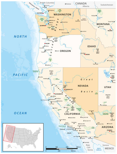 Political and administrative vector map of the Western United States of America Political and administrative vector map of the Western United States of America pacific northwest region stock illustrations