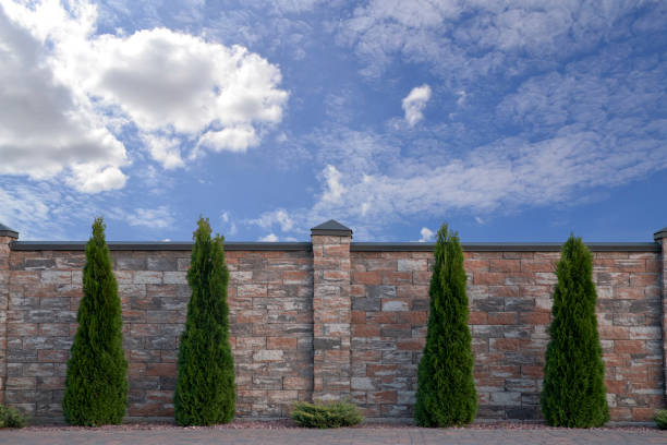 Section of a beige brick wall with blue sky above and the tops of two trees.