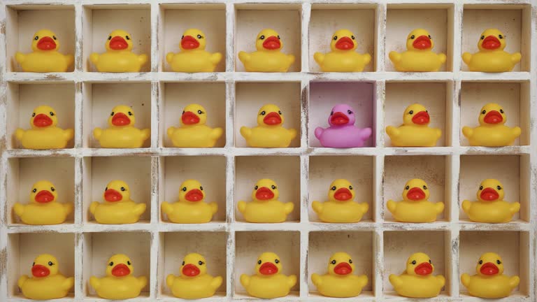 Stop-motion animation of many yellow rubber ducks in white weathered wooden pigeon holes with one purple duck amongst the crowd of yellow ducks.