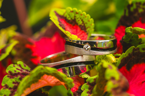 Wedding rings on a colorful leaves