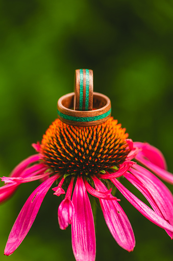 Wooden wedding rings on an echinacea flower